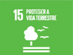 Ods 15 - Proteger a Vida Terrestre