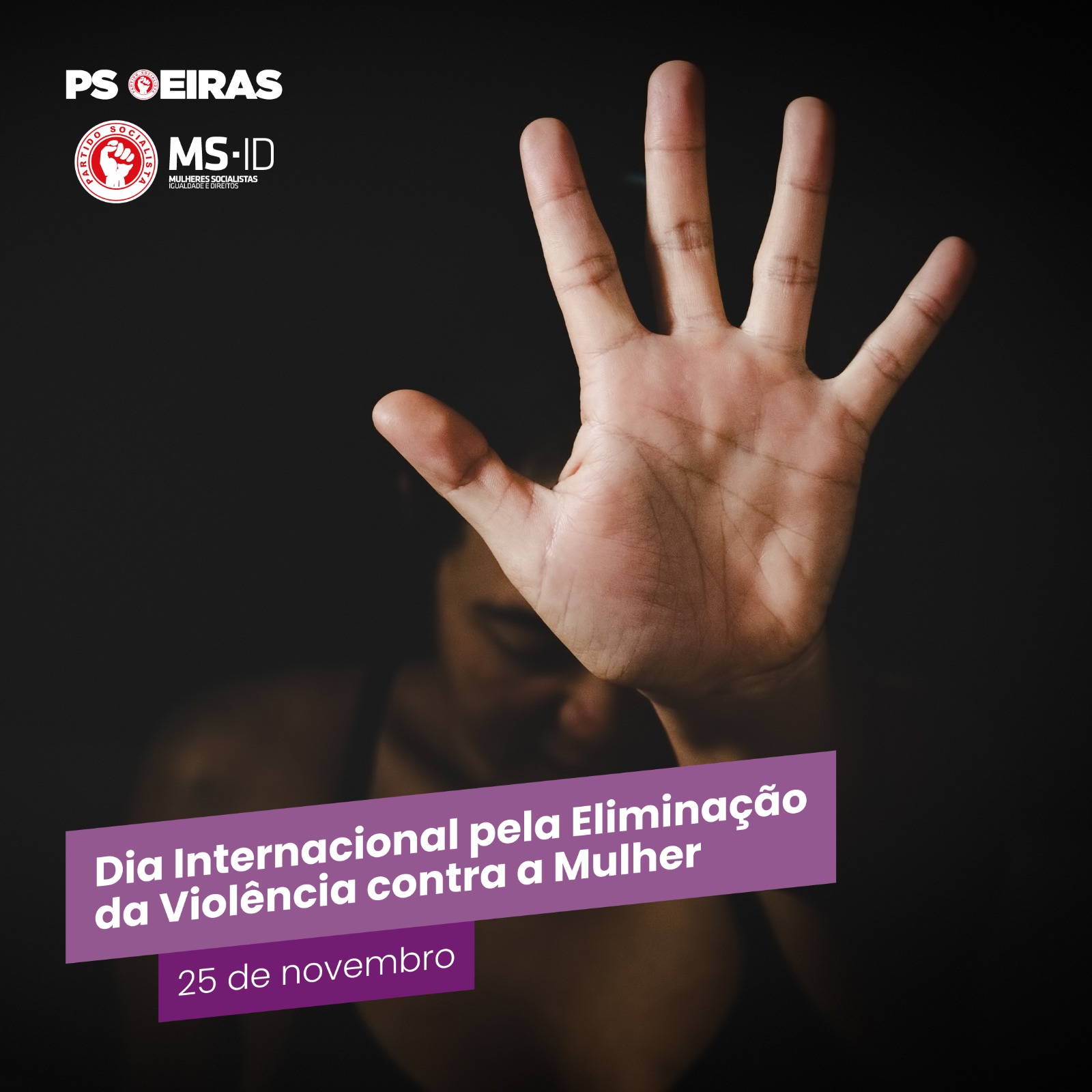 Dia Internacional Pela Eliminação Da Violência Contra a Mulher